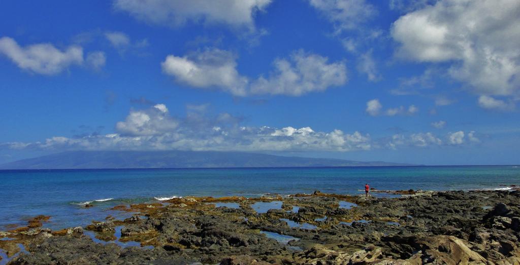 Condos At Napili Point 拉海纳 外观 照片